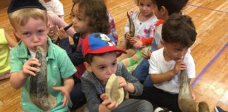 Silverstein Hebrew Academy preschool students practice blowing the Shofar to celebrate Rosh Hashanah. They learned the symbolic significance of blowing the shofar as part of the school’s mission to provide a well-rounded education in Jewish cultural heritage as well as an advanced secular education. (Photo courtesy of Zimmerman/Edelson)
