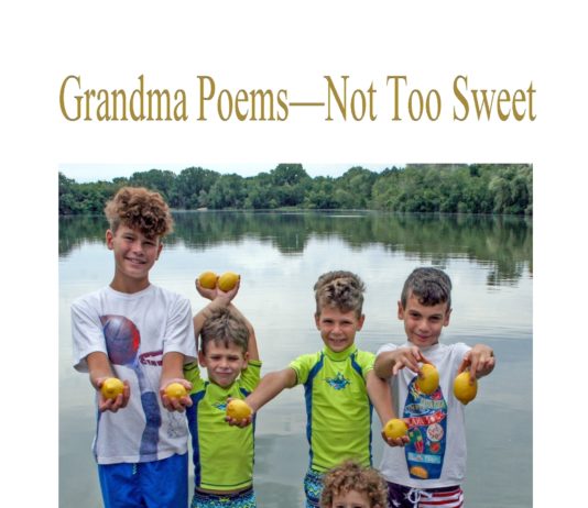 The cover of "Grandma Poems - Not Too Sweet" by Carolyn Raphael, which features her five grandchildren holding lemons, alludes to the sweet, but not too sweet theme of the book. (Photo courtesy of Carolyn Raphael)