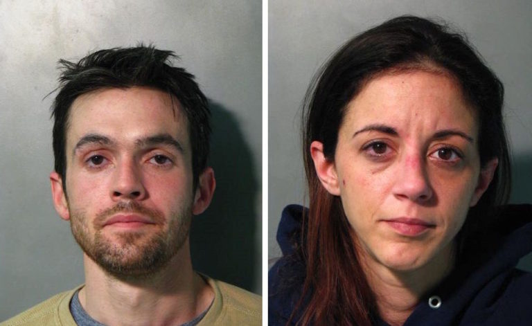 Two arrested after purse theft at New Hyde Park ShopRite: police