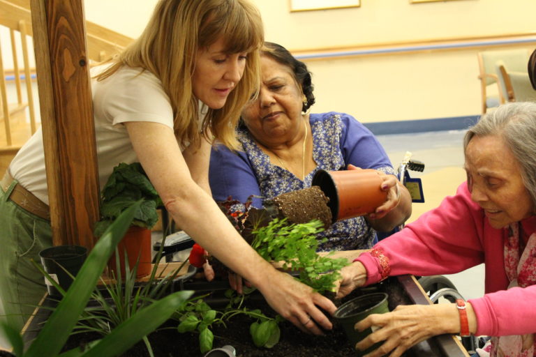 Eldergrow brings indoor gardening to Parker Jewish patients