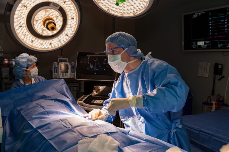 Northwell cardiac surgery, cardiology programs rank among New York’s best