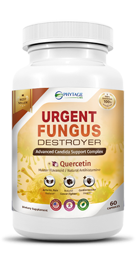 Urgent Fungus Destroyer Reviews – Read My Results Before You Try!