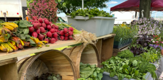 Photo of locally grown and colorful produce such as radishes, swiss chard, lettuce, and flowers at the Deep Roots Farmers Market in Great Neck.