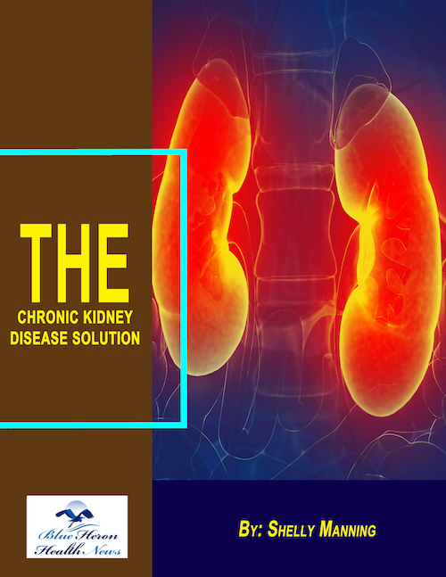 The Chronic Kidney Disease Solution Reviews – Shelly Manning PDF