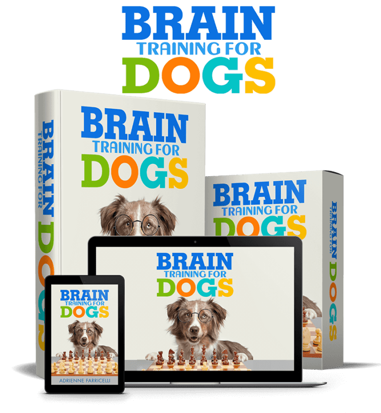 Brain Training For Dogs Reviews – Must Read Before You Try!