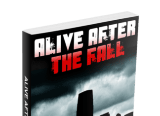 Alive After The Fall
