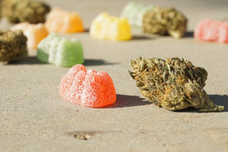 Best THC Gummies: Top 5 Brands To Buy Weed Gummies