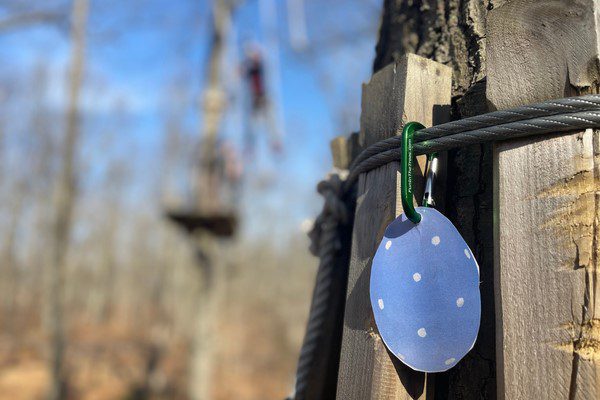 The Adventure Park announces its annual ‘Easter Egg Hunt in the Trees’