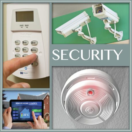MAGNUM SECURITY SYSTEMS, INC.