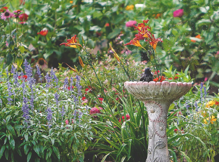 Floral Park’s Christine Kozak capturing beauty of Centennial Gardens with yearly calendar