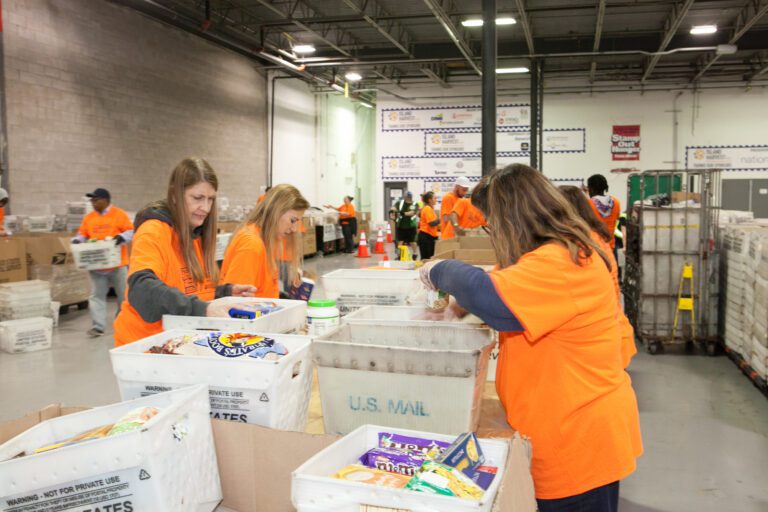 Stamp Out Hunger food drive nets 382,175 pounds of food to help food-insecure Long Islanders